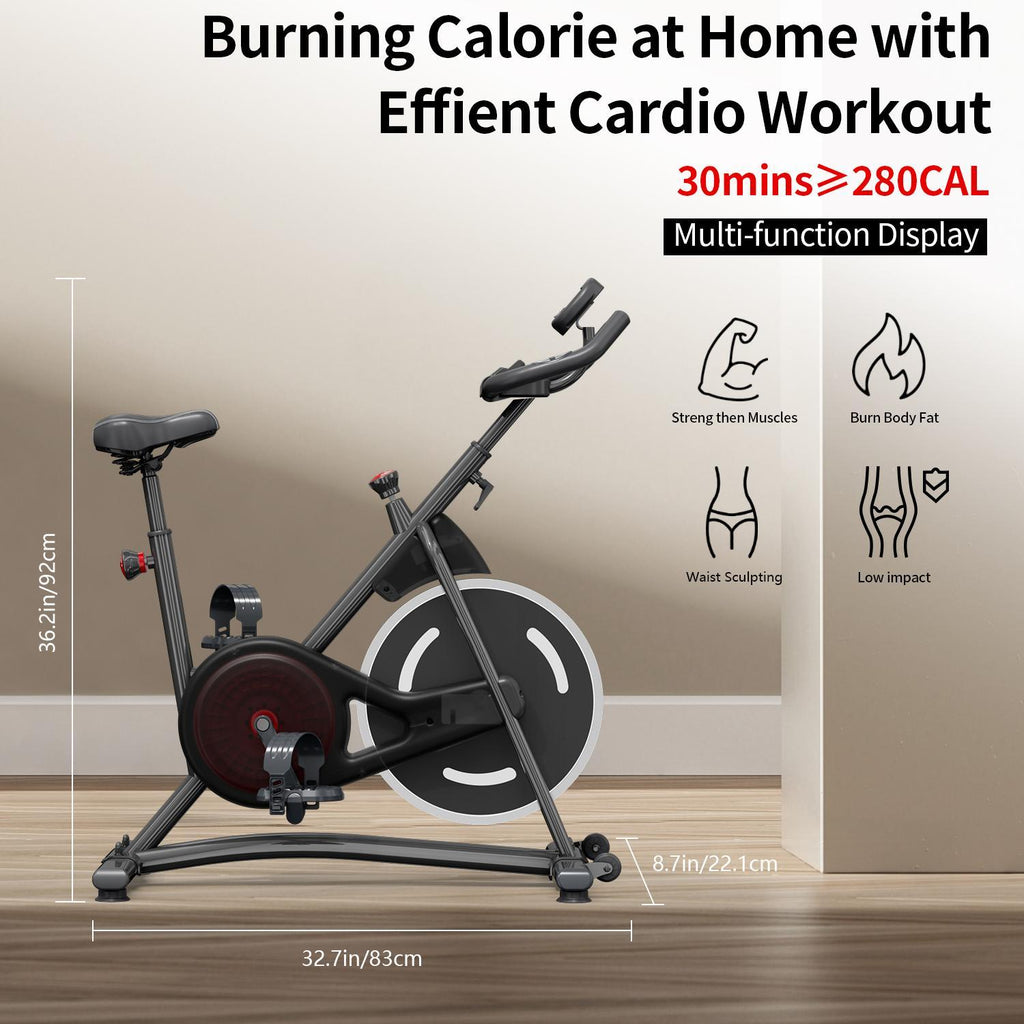 Home Gym Cardio Bike (StationaryBicycle)