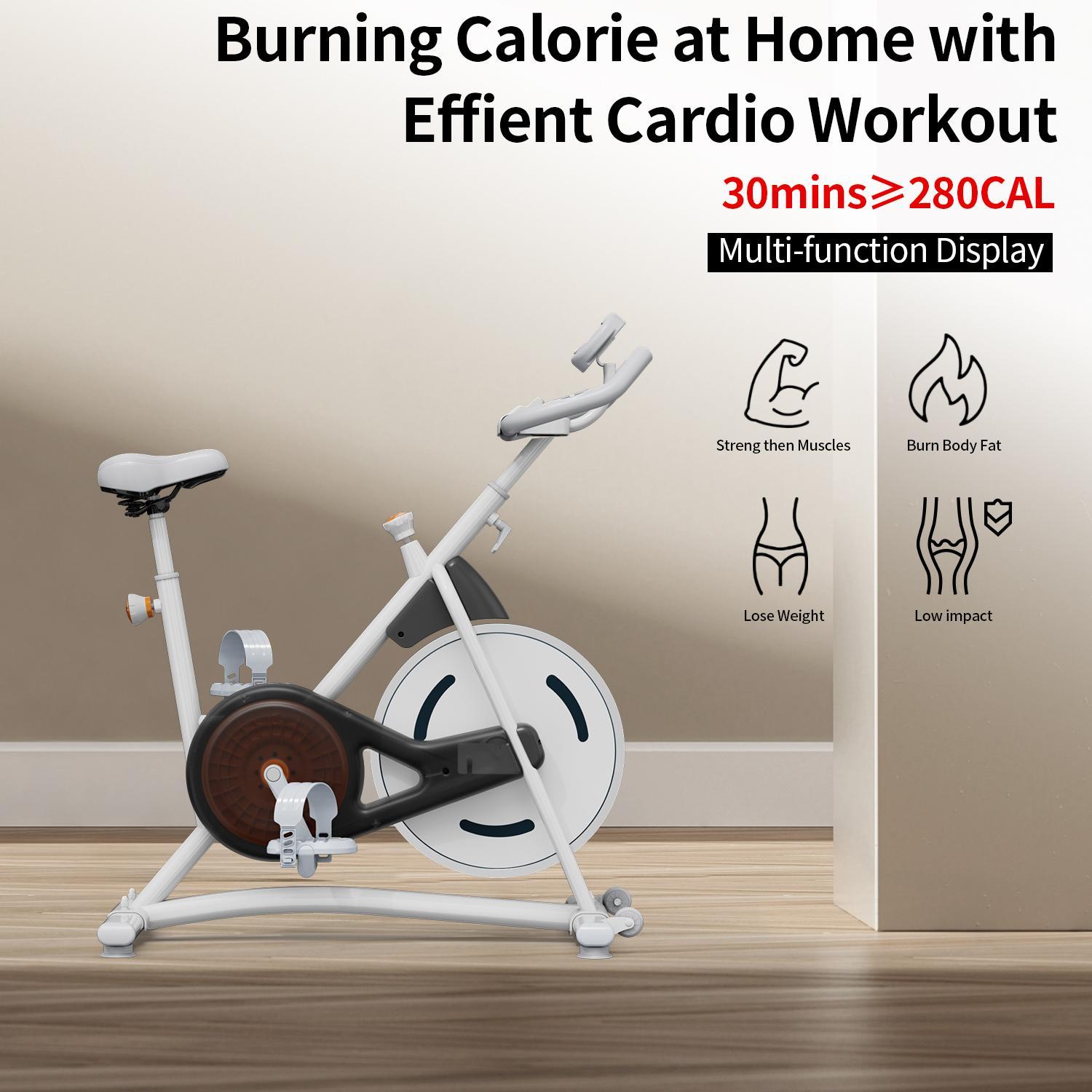 Home Gym Cardio Bike (StationaryBicycle)